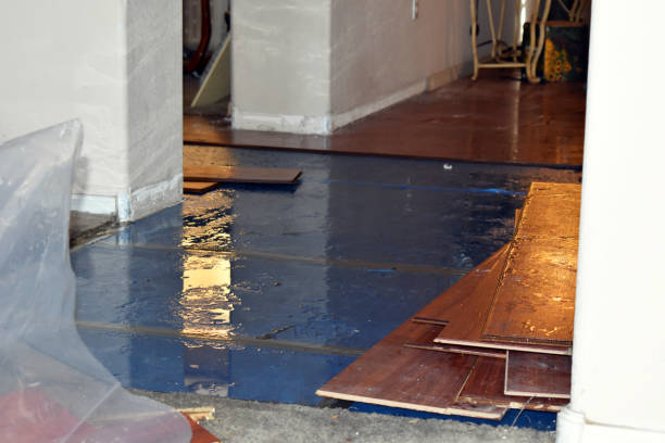 Professional Basement Flood Cleanup technician working in Loma Mar, CA